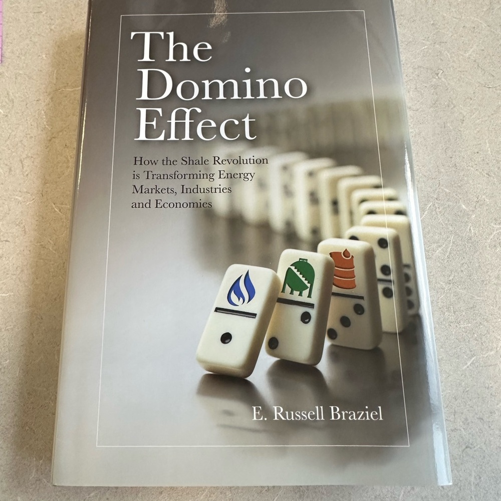 The Domino Effect Book by E. Russell Braziel